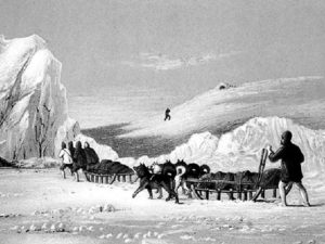 Экспедиция Фердинанда Врангеля фото